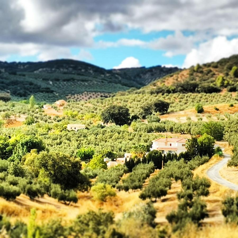 Cortijo Pennymaria Poolside Apartment Near Montefrio With Stunning Views Εξωτερικό φωτογραφία