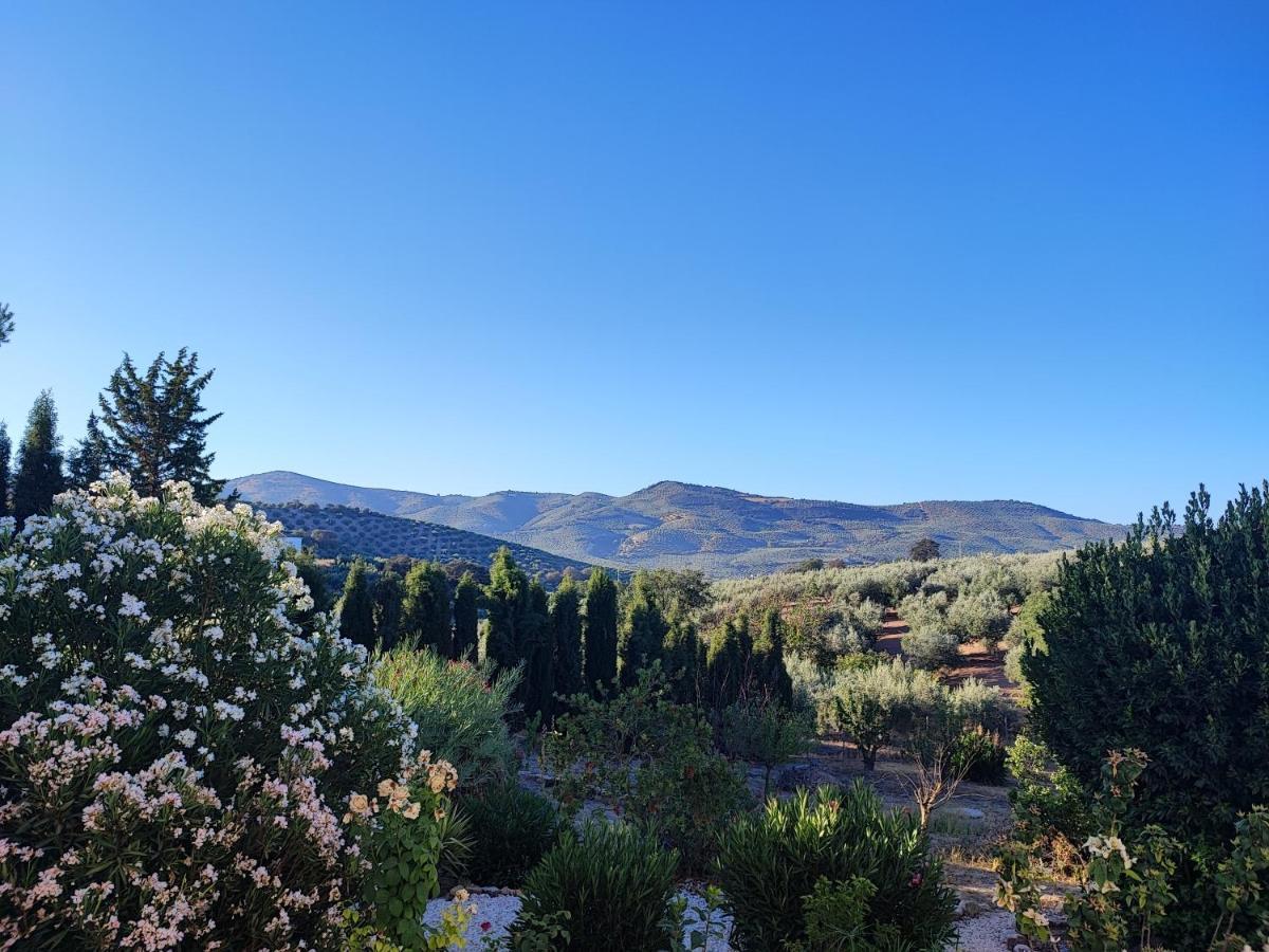 Cortijo Pennymaria Poolside Apartment Near Montefrio With Stunning Views Εξωτερικό φωτογραφία