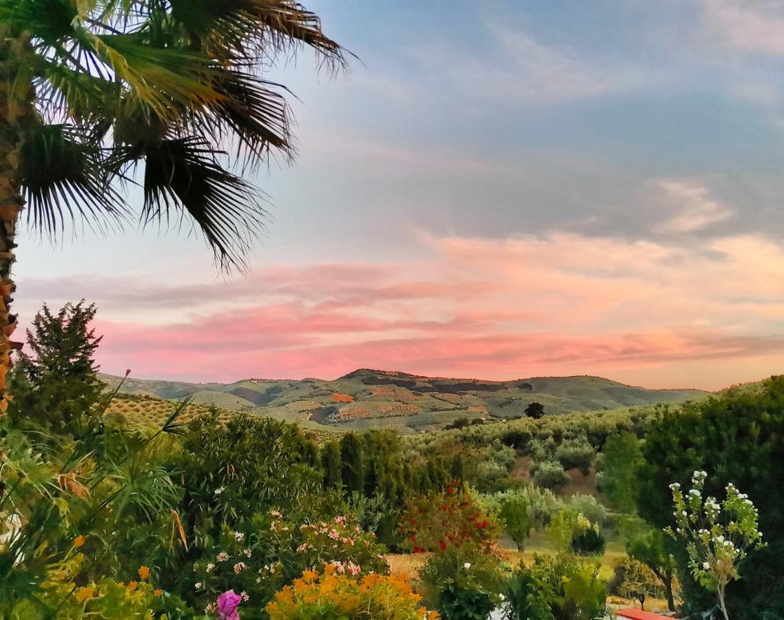 Cortijo Pennymaria Poolside Apartment Near Montefrio With Stunning Views Εξωτερικό φωτογραφία