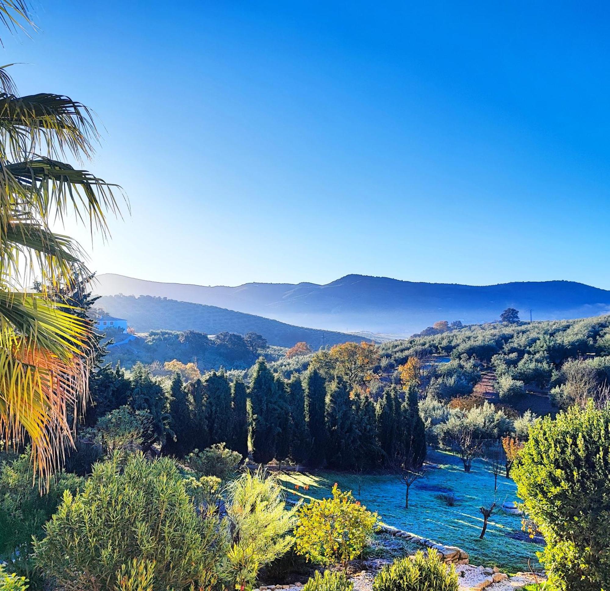 Cortijo Pennymaria Poolside Apartment Near Montefrio With Stunning Views Εξωτερικό φωτογραφία